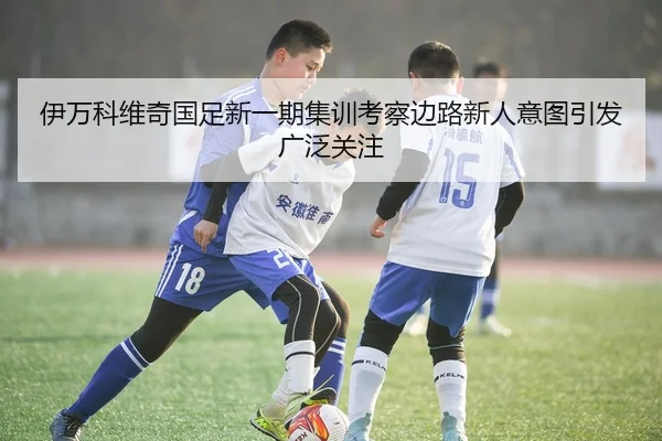 伊万科维奇国足新一期集训考察边路新人意图引发广泛关注